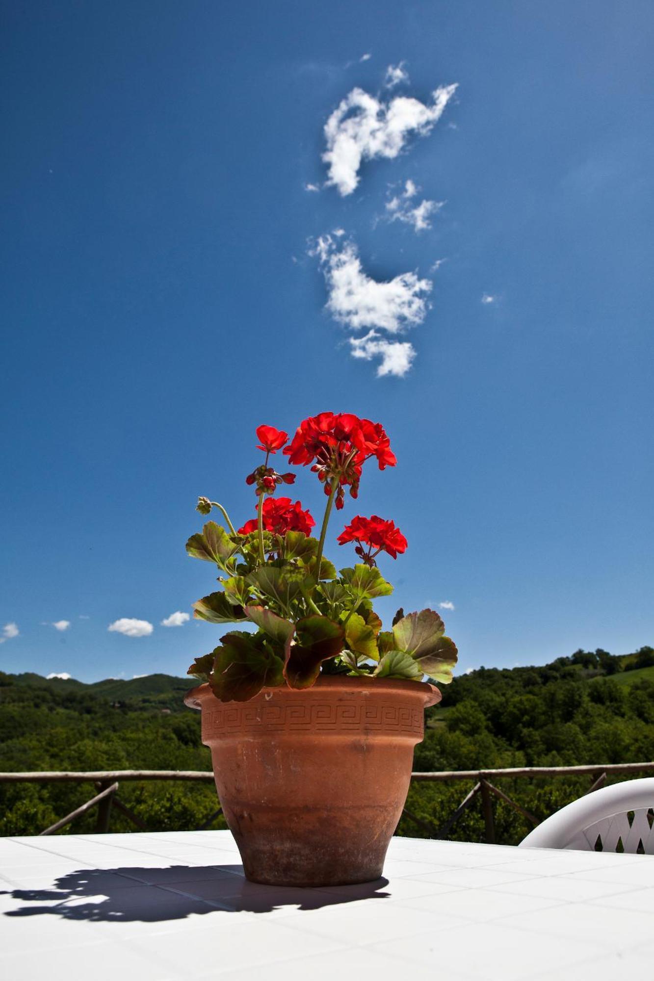 Relais Parco Del Subasio Villa Piano Delle Pieve Екстериор снимка
