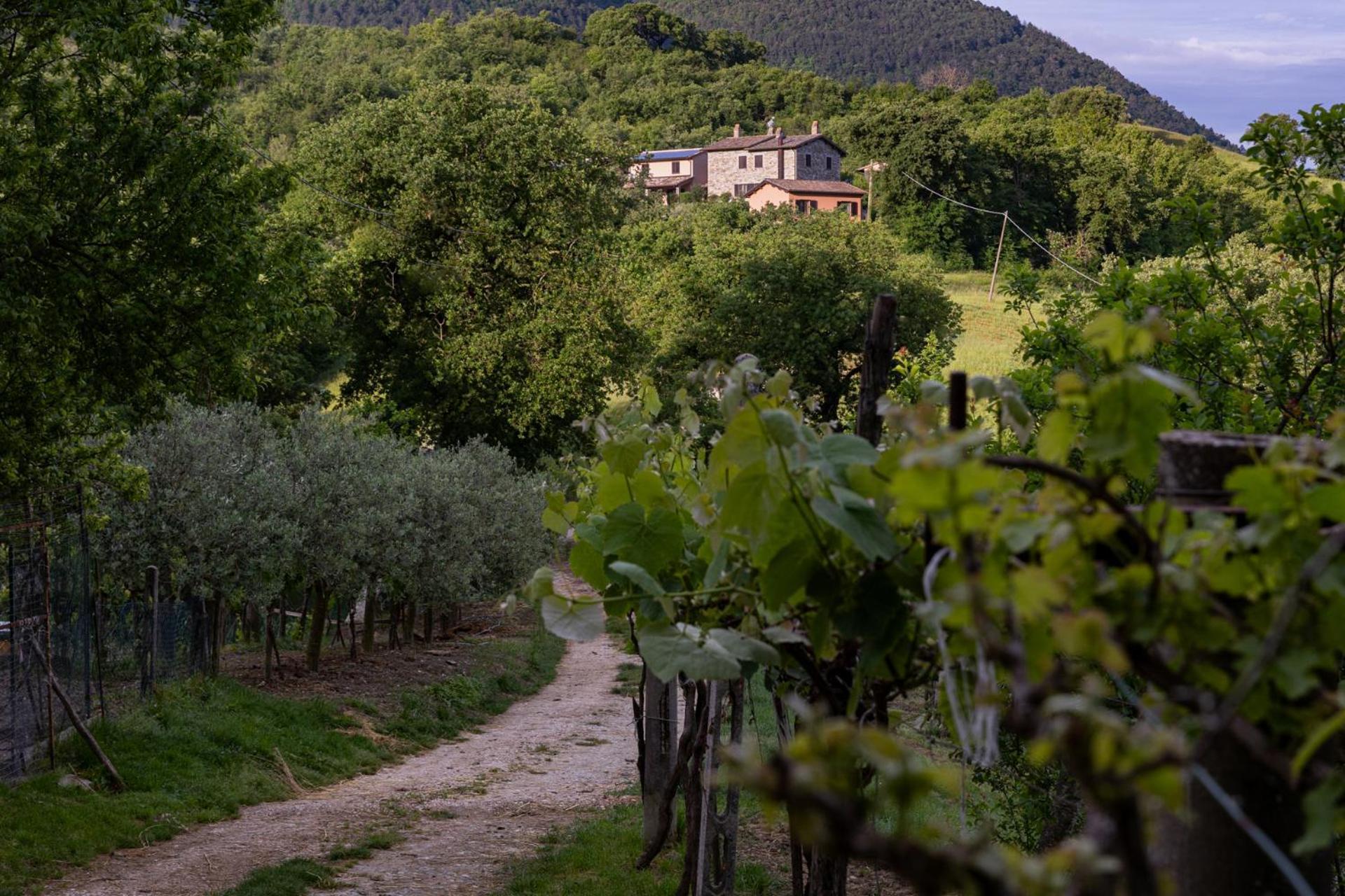 Relais Parco Del Subasio Villa Piano Delle Pieve Екстериор снимка